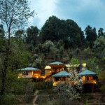 The Foliage at Mukteshwar