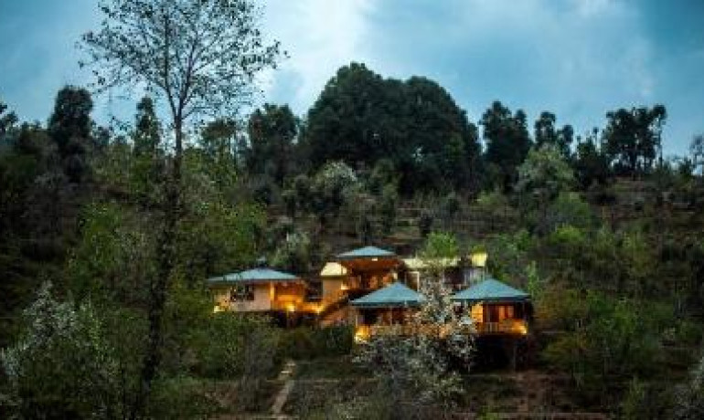 The Foliage at Mukteshwar