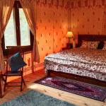 The Foliage at Mukteshwar