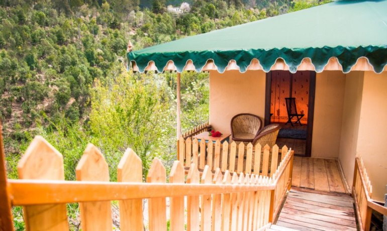 The Foliage at Mukteshwar